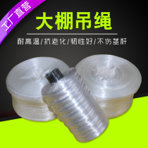 Greenhouse high temperature resistant hanging seedling rope Vegetable hanging rope Tomato pepper cucumber rope strapping rope Anti-aging nylon rope