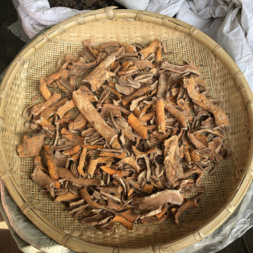 昆明中草药批发市场黄柏皮价格