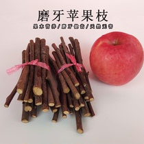 Squirrel supplies Demon King snow Huangshan squirrel molars apple branch hamster chinchillas molars natural pet supplies