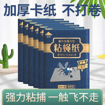 Flies paste powerful household Catch Trap Trap killer Buster drive commercial killer kill large sticky fly paper board artifact