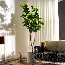 High-end large-scale simulation of Qinye fake tree green planting potted plants indoor living room landscaping ornaments