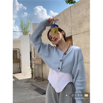 Korean chic Short Knitted Cardigan Jacket Women's Early Spring New Design Sense Small Loose Sweater Blouse Jacket