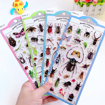 Realistic Insect Science Nature Carapace Children Early Education Sticker DIY Album Paste Kindergarten Award Sticker