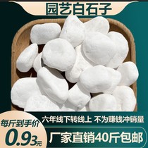 Natural white stone courtyard paving landscape pebbles fish tank multi-meat potted plant paving decoration White size stone