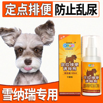 Schnauzer dog inducer dog defecation guide training toilet artifact pet fixed-point defecation to prevent disorderly urine