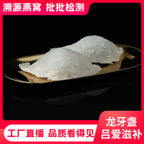 Traceable Dragon Tooth tooth 50g