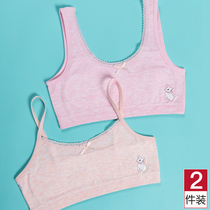 Developmental girl small vest girl underwear Elementary School junior high school students 9-12-15 years old childrens bra