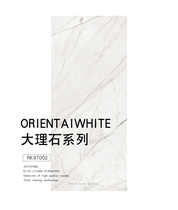 Nobel all-ceramic cast glaze marble tiles Simple modern Arctic Ocean RK97002