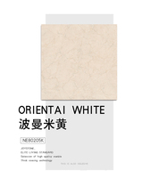 Nobel tile tile living room floor tile simple modern 800 * 800NE80205K home