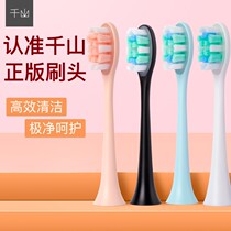 Qian Shan X1 Diamond Electric Toothbrush Original Brush Head Pink 2 Pack Blue 2 Pack