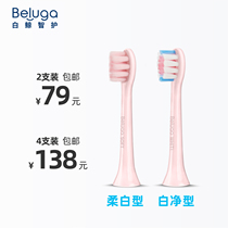 (2 installed) Beluga whale wisdom protection 0 01mm ultra-fine soft hair imported whitening brush wire electric toothbrush replacement brush head