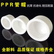 PPR pipe cap plastic pipe plug 20 25 32 40 50 63 75 90 110 water pipe accessories