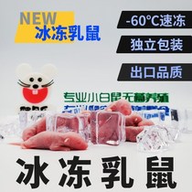 Creepworm food frozen milk rat red white cream fed cat food turtle lizard guard feed mouse sterile