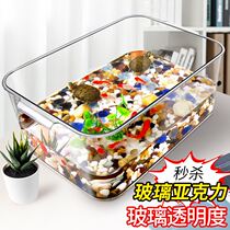 Acrylic turtle tank tortoise yellow edge turtle special tank household tortoise breeding box desktop transparent breeding box