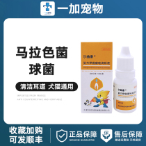 Pauling Ear Net Dog Cat Dog Ear Mite Fungicidal Medicine Itching Red Swollen Malaise Compound Itronazole Drop Ear Fluid