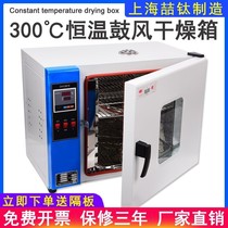 Laboratory electric constant temperature blast drying oven industrial drying box high temperature cultivation headlight aging test oven