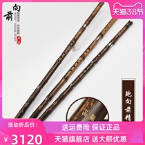 Baum forward refined boutique xiao Professional upplay Purple Bamboo Cave II Festival Gtone F F Tone Stage Solo
