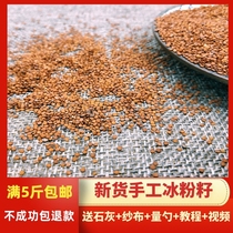 Premium handmade hand rub ice powder seed bubble ice powder Chengdu special snack Papaya seed jelly seed ice seed 500g