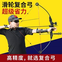 Professional high precision composite bow and arrow shooting sports straight pull reverse bow archery small set labor saving pulley bow