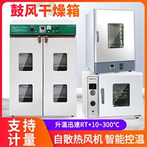 Electric constant temperature blast drying oven laboratory test high temperature small oven oven industrial dryer aging box
