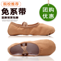Lace-free dance shoes Women and children adult ballet Chinese girls summer professional training soft bottom camel cat claw dance