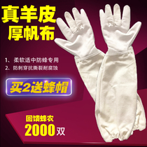 Sheepskin gloves Beekeeping special stung gloves thickened canvas breathable wear-resistant bee protection tool