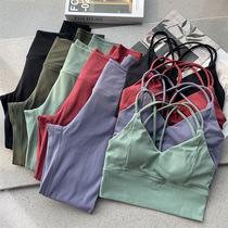 Woman in spring and summer sports beauty ~ 5 color yoga suit bra vest yoga pants with underpants -0311