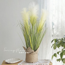 Floor decoration flowers Nordic Reed hemp rope simulation flower dog tail grass potted clothing store window green plant decoration