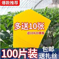 Sticky fly board strong insect trap yellow board rebound yellow double-sided cardboard vegetable garden greenhouse fruit tree tea garden fly catch