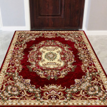 Access floor mat Entry door mat Water-absorbent non-slip mat Toilet entrance hall carpet can be customized
