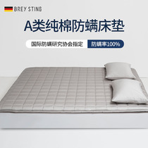 Bristtin mattress upholstered home student dormitory single pad thickened folding thin tatami bed mattress