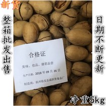New products Tongxin brand cream flavor Bagan fruit 5KG box big round full Bagan fruit nuts roasted