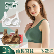 Bra vest one piece with chest pad upper bra base anti-light sling bandeau gathered anti-light underwear cotton