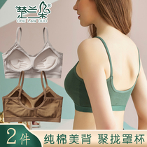 Beauty back sling Net red explosion Vest Womens chest cotton underwear students gathered together to wrap the chest base shirt