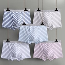 Fenteng new mens underwear pure cotton flat angle Sexy stripe 3D No-mark breathable personality loose with large size 4-corner pants