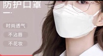 Adult dust masks