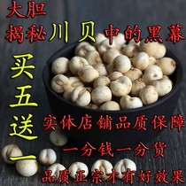 Chuanbei Sichuan imitation wild planting Sichuan Fritillaria no sulfur sulfur sulfur dioxide detection mill Sichuan shell powder 50g buy 5 Get 1