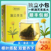 Dandelion tea loose knot tea Bitter tea Female breast nodules dredge breast non-special grade wild Chinese medicine