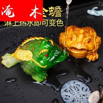 Flooded Wood tea pet ornaments discoloration tea worm spray tea pet color change Tea play Golden Toad accessories Tong pet can be raised