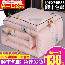 Tung Xiang Silk Quilt 100 Mulberry Silk Spring Autumn Quilt Winter Quilted By Double Full Cotton Quilt Core Winter 10 Catty Thickened Warm 8