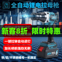 Factory direct sales industrial grade portable brushless electric lithium battery charging steel cap automatic riveting pull nut gun