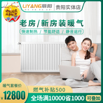 Guiyang radiator household natural gas plumbing steel plate heat sink German brand wall-mounted furnace package installation