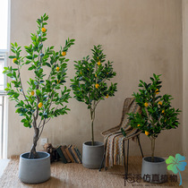 Indoor large-scale floor-to-ceiling green plant simulation lemon tree potted living room decoration ornaments fake tree simulation plant bonsai