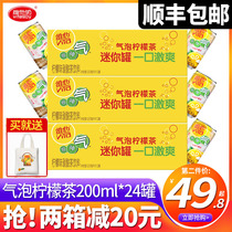 (SF) Vita Milk mini Mini Vita Bubble Lemon Tea 200ml*24 cans full carton of drinks