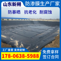 Anti-seepage membrane HDPE geomembrane liner Aquaculture membrane Fish pond reservoir slope protection Oxidation pond digester black film