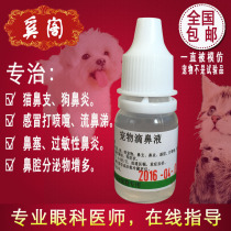 Pet nose drops cats and dogs rhinitis cold cats nasal secretions sneezing runny nose