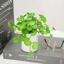 Fresh simulation green plant small bonsai table swing piece creative multi-meat potted decoration green planting fake flower desktop furnishing