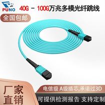 MPO fiber optic jumper 3 M 5 m MTP bundle fiber optic cable OM3 multimode Gigabit MPO8 12 core 40G100G Qsfp