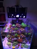 DIY Ant sea cylinder lamp automatic Sunrise Sunset LED seawater coral lamp micro cylinder lamp full spectrum 60 square cylinder