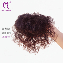 Full Truth Hair Top Shade White Hair Wig Block Corn Bronzed Hair hair Wig Lady Short Curly Hair OLD AGE MOTHER